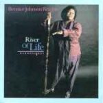 Bernice Johnson Reagon - River Of Life - Vinyl Record