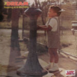 The Dream (featuring Bob Baldwin) - A Long Way To Go... - Vinyl LP on Malaco Records