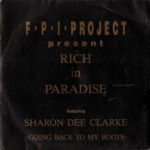 FPI - Rich In Paradise featuring the vocals of Sharon Dee Clarke - 7 inch vinyl record