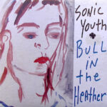 Sonic Youth - Bull In The Heather