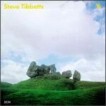 Steve Tibbetts - Yr - Vinyl Record