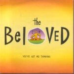 The Beloved - You've Got Me Thinking - 7 Inch Vinyl Record