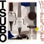 Whippersnapper - Tsubo - Vinyl Album on Rounder Records