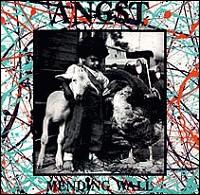 Angst – Mending Wall – Vinyl album on punk rock label SST Records