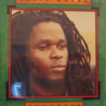 Chris Wayne - Progress - Vinyl album on Heartbeat Records