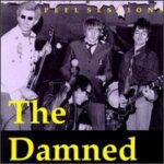 The Damned - The Peel Sessions - Cassette tape on Strange Fruit Records