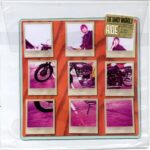 Dandy Warhols - Ride - Limited Edition Square Vinyl Record