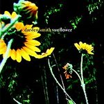 Darden Smith - Sunflowers - CD on Dual Tone Records