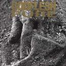Godflesh - Pure