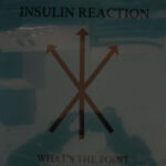Insulin Reaction - What's The Point - Vinyl Record