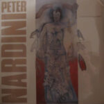 Peter Nardini - Is There Anybody Out There? - Vinyl Album on Temple Records