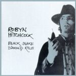 Robyn Hitchcock - Black Snake Diamond Role - Cassette