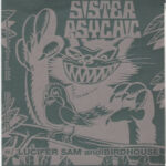 Sister Psychic - Little Bird - Seven Inch Vinyl Record
