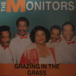 The Monitors - Grazing In The Grass - Vinyl Album on Motor City Records