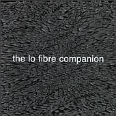 Compilation - The Lo Fibre Companion - Double CD set on Invisible Records