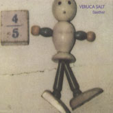 Veruca Salt - Seether - Cassette