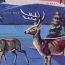 Voice Farm - Bigger Cooler Weirder - Cassette
