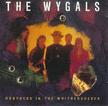 The Wygals - Honyocks In The Whithersoever - Vinyl album featuring members of Individuals and dbs on Rough Trade Records