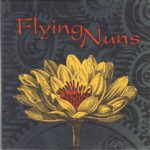 Flying Nuns - Yard - 1993 Warped 7 Inch Vinyl Record