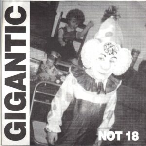 Gigantic - Not 18 - 1991 Heat Blast Limited Edition NEW 7 Inch Vinyl Record