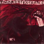 Iowa Beef Experience - Guilt And Revenge - 7 Inch Vinyl Record