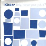 Kicker - Boy Have You Got It? - 2000 Bad Jazz UK Import 7 Inch Vinyl Record