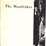 Mandrakes