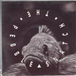 Snatch The Pebble - Shine Your Eye - 1993 Esync 7 Inch Vinyl Record