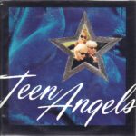 Teen Angels - Teen Dream - 1995 Sub Pop 7 Inch Vinyl Record NEW