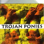 Trojan Ponies - Nutin Honey - 1993 Rockville 7 Inch CLEAR Vinyl Record