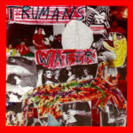 Trumans Water - Godspeed The Punchline - Homestead 1993 Record LP