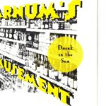 Varnum's Amusement - Drunk in the sun - 1993 Buckshot 7 Inch Vinyl Record