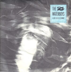 The Waterboys - A Girl Called Johnny - Chicken Jazz 7 Inch Vinyl Record