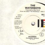 The Waterboys - December - 7 Inch Vinyl Record