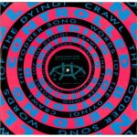 Controlled Bleeding - The Fodder Song - Vinyl Record