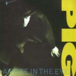Pig - A Poke In The Eye... - Vinyl Record