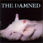 The Damned - Strawberries