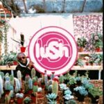 Lush - Lovelife