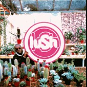 Lush - Lovelife