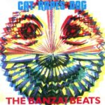 Cat Rapes Dog - The Banzai Beats - Vinyl Record