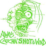 Compilation - Always Catchin Snot In The Wind - Vinyl Record