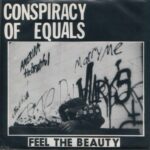 Conspiracy Of Equals - Feel The Beauty - Seven Inch Vinyl Record