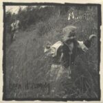 M Blanket - Seen It Coming - Seven Inch Vinyl Record