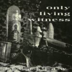 Only Living Witness - Freaklaw - Seven Inch Vinyl Record