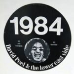 David Peel And The Lower East Side - 1984 - Vinyl Record