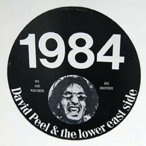 David Peel And The Lower East Side - 1984 - Vinyl Record