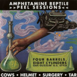 Amphetamine Reptile Peel Sessions