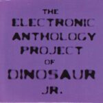 Electronic Anthology Project