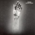 Afghan Whigs ‎- Up In It - 180 Gram Vinyl Record