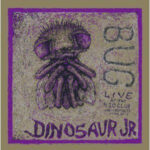 Dinosaur Jr - Bug Live